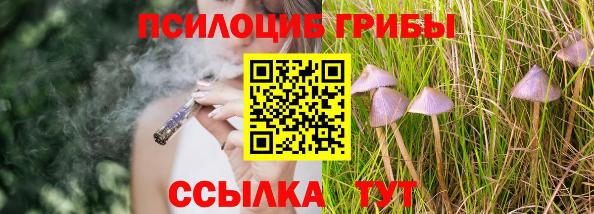 Псилоцибиновые грибы Psilocybe  Вход с VPN  Элиста  Псилоцибиновые грибы Cubensis 