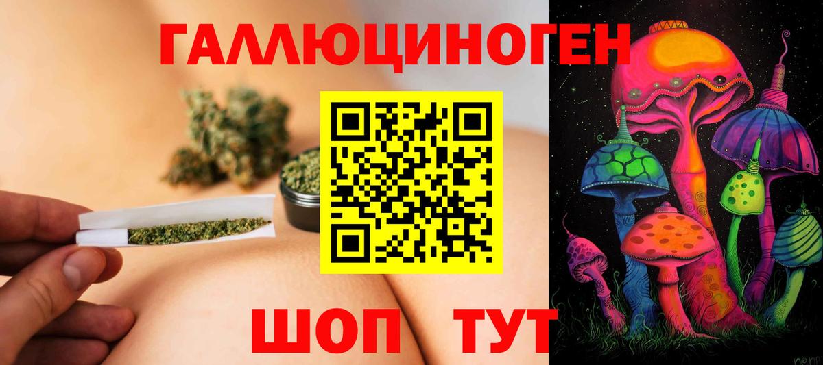 Псилоцибиновые грибы Psilocybe Элиста